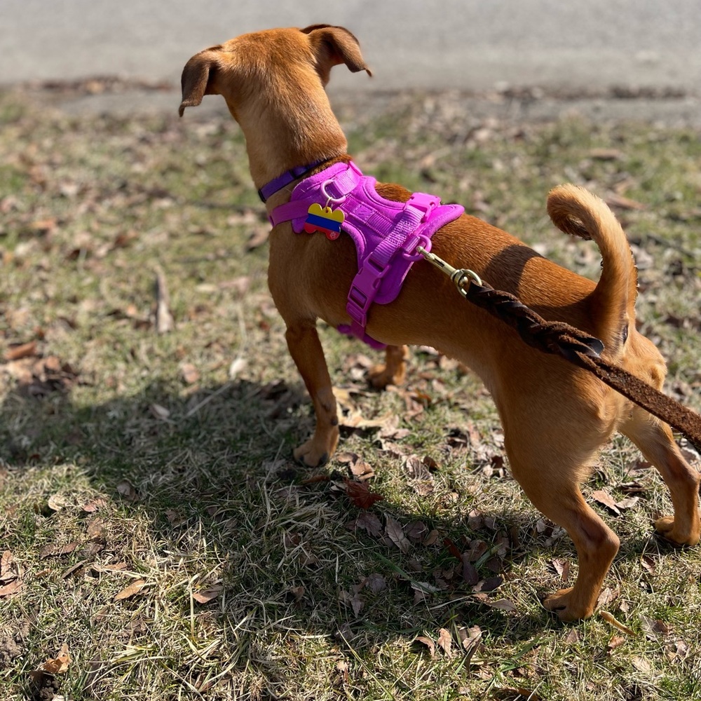 Meet your Posher, Cristina